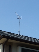 DSCF2411.JPG
